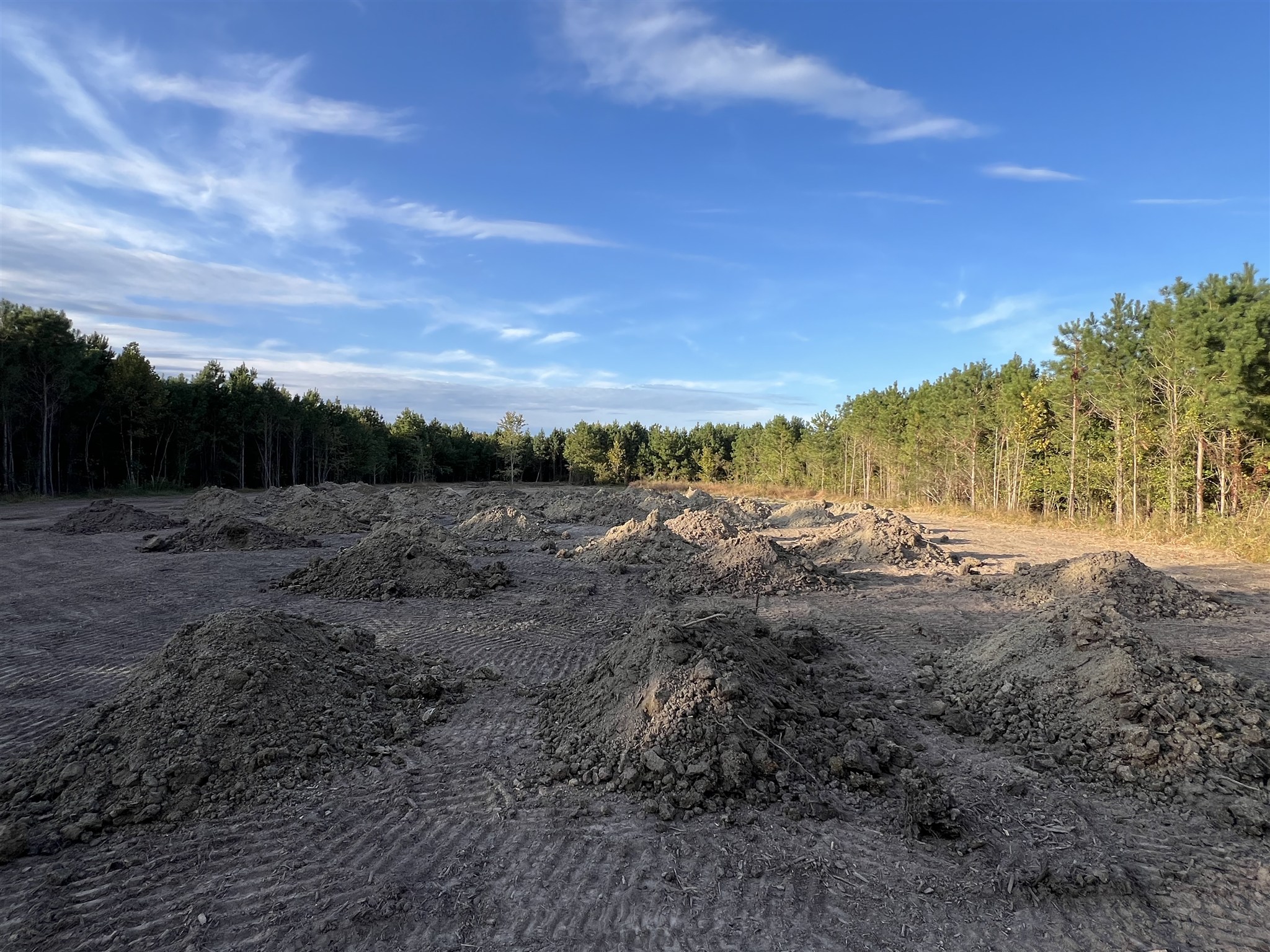 Land Clearing Progress